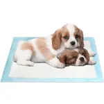 Diapers στην Ecocraft