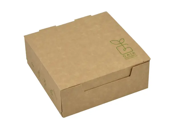 Χάρτινο κουτί για ορεκτικά - πατάτες Gaia Line 13x13x5cm Plastic Free - Κουτιά Φαγητού στην Ecocraft