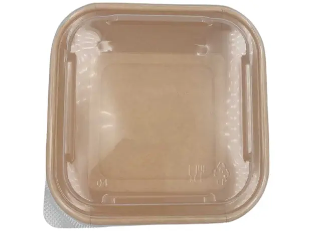 Food container Black Square 500ml with plastic pp Lid- 50pcs - Food Boxes στην Ecocraft