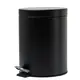 Mat Black WC Bin with Hydraulic Pedal 20L - Toiler Trash Can and Toilet Brush  στην Ecocraft